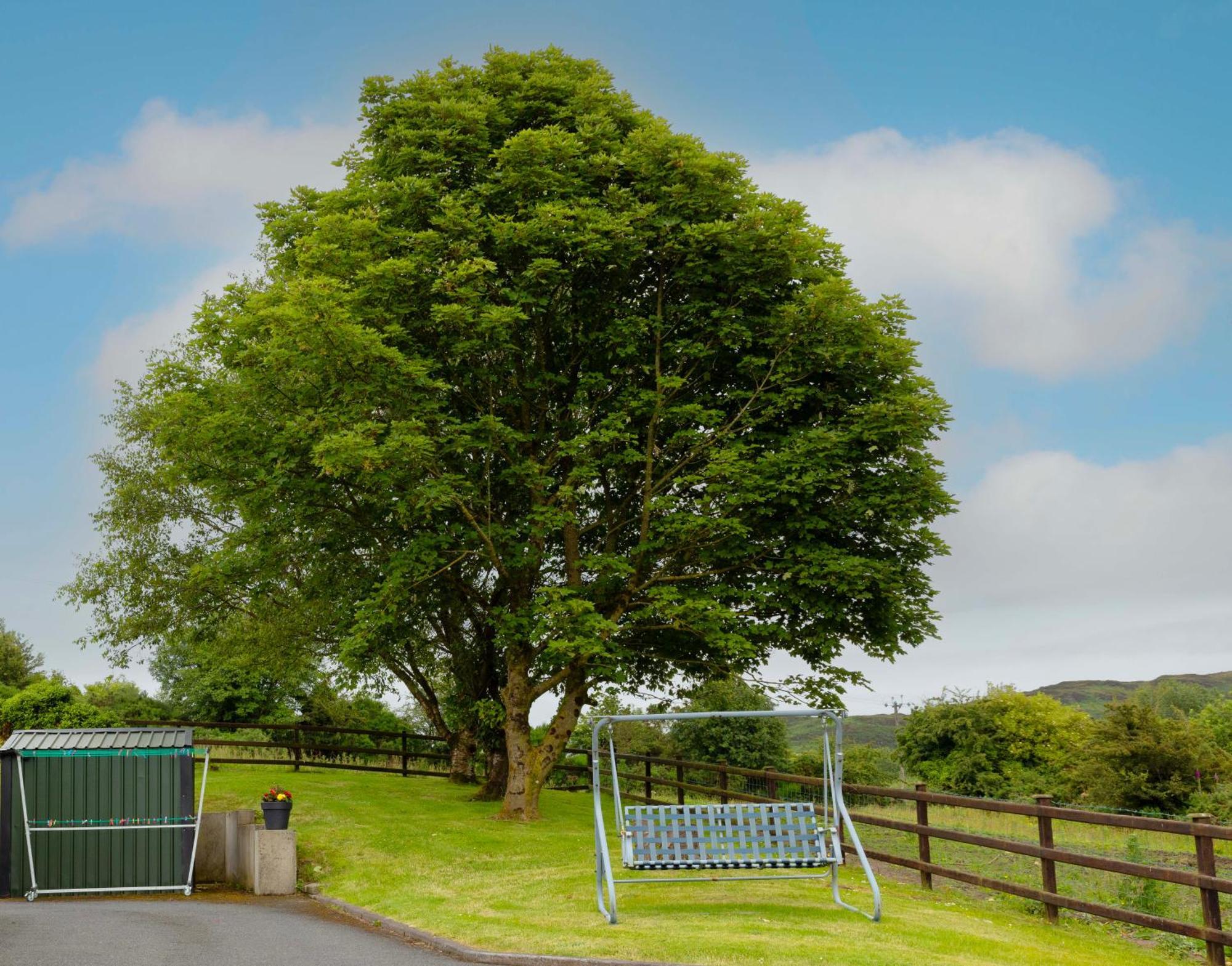 Mountain Nest At The Foot Of Slieve Gullion Apartment Cloghoge Екстериор снимка
