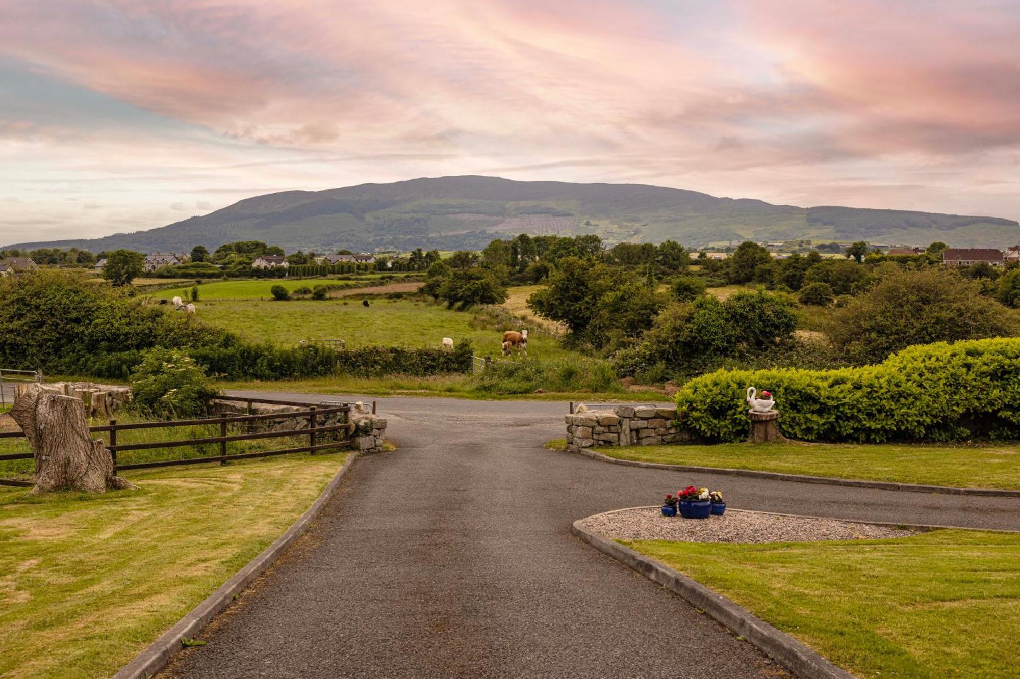 Mountain Nest At The Foot Of Slieve Gullion Apartment Cloghoge Екстериор снимка
